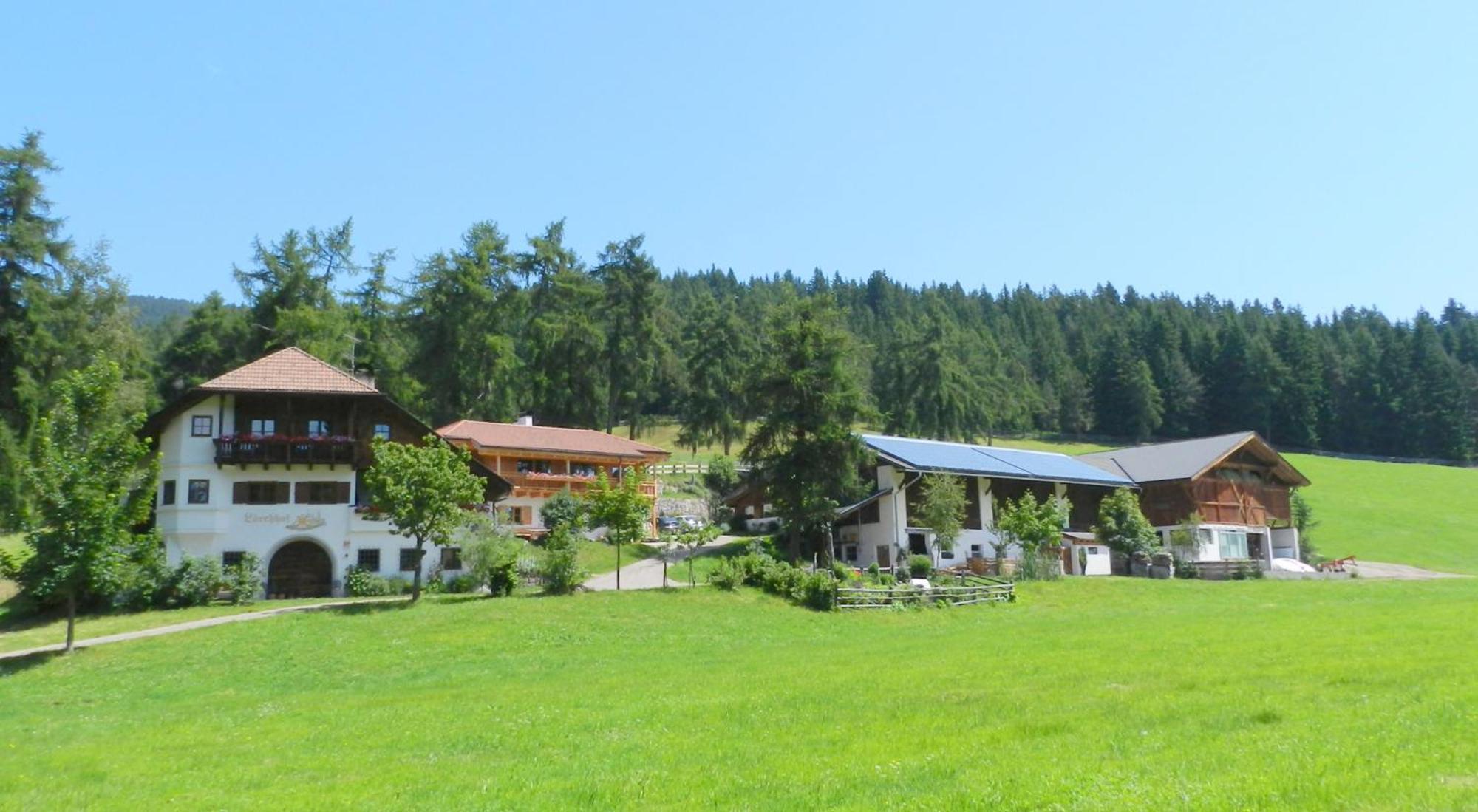 Laerchhof Villa Collalbo Exterior foto