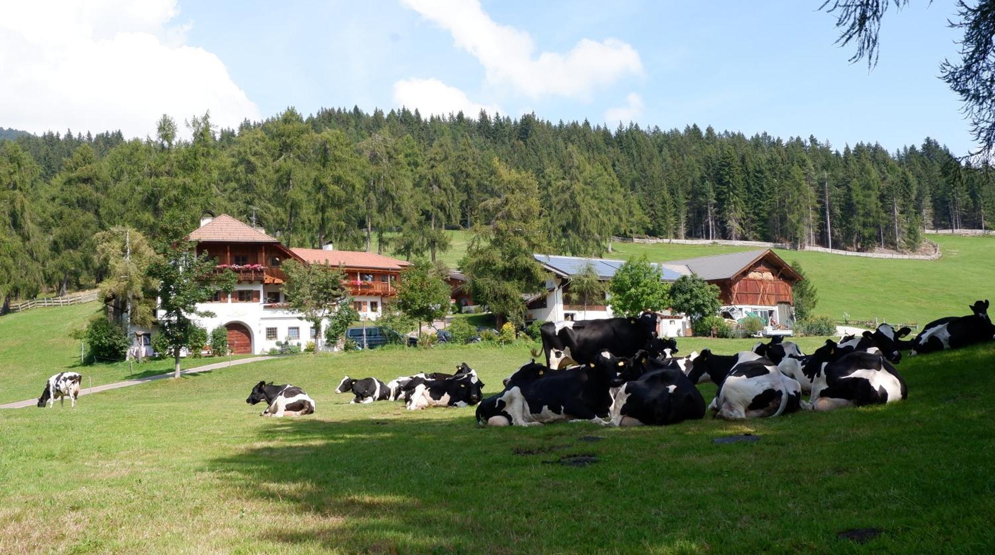 Laerchhof Villa Collalbo Exterior foto